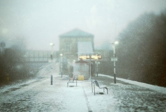 Image 002