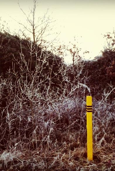 Image 006