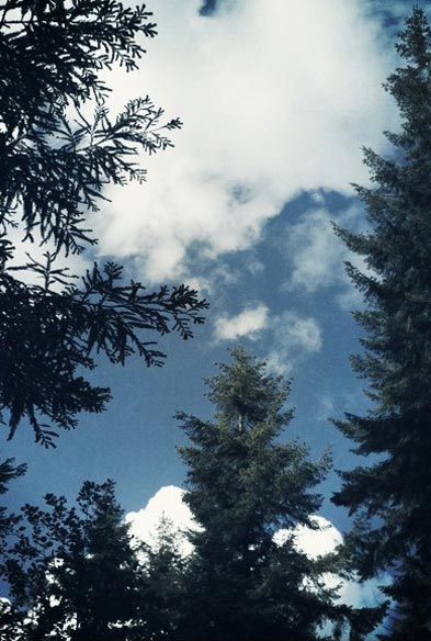 Image 009