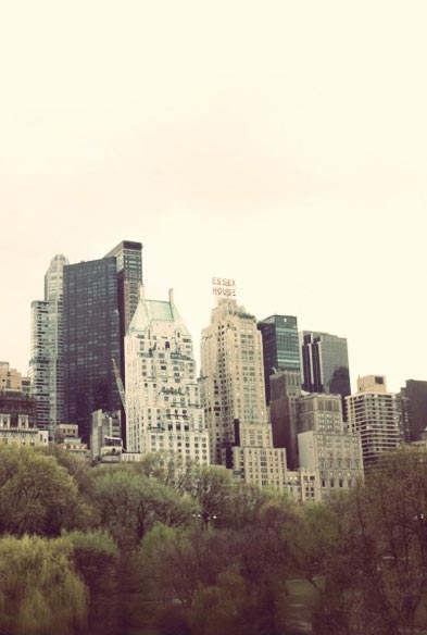 Image 016